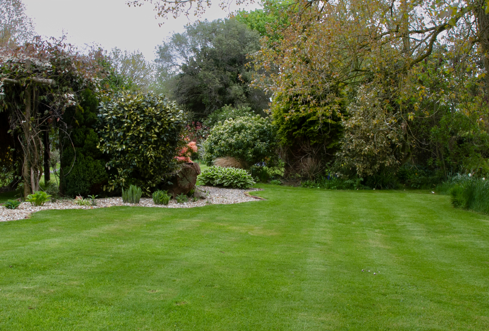 Image of the lawn at Ashridge